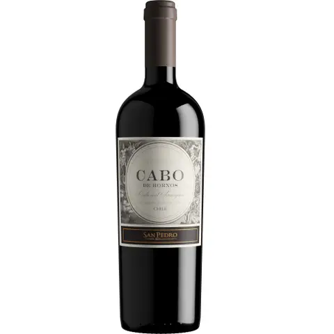 Vinho Cabo de Hornos Cabernet Sauvignon 750 ml