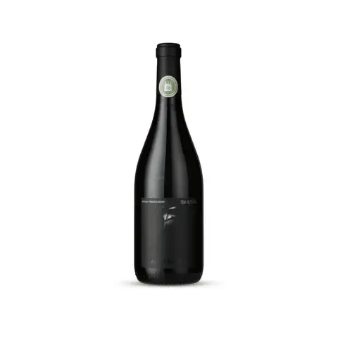 Alma Negra Pinot Noir 2023