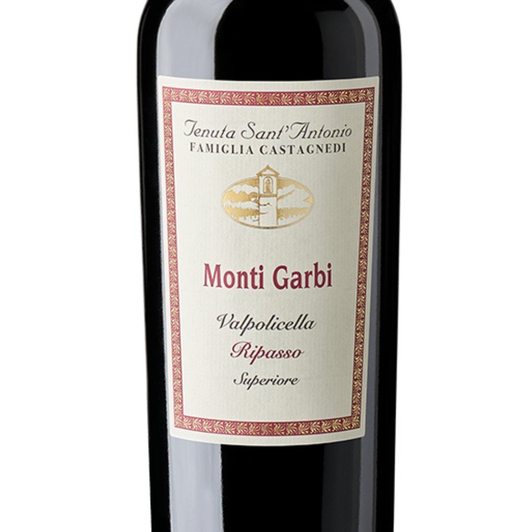 Vinho Tinto Monti Garbi Valpolicella Ripasso 750ml